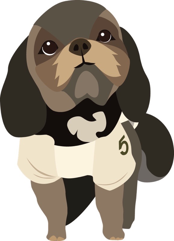 buddy
