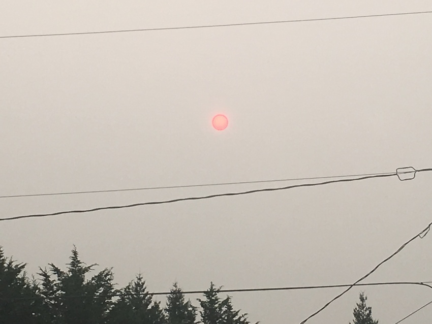 山火事でで赤く燃える太陽