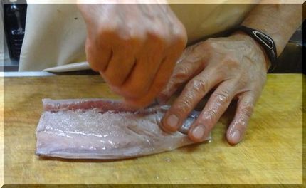 15本の骨があるそうです。