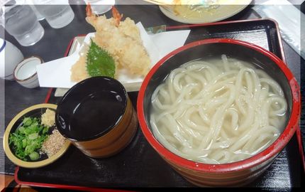 *天ぷら釜揚げ びっくりするほ...