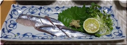 *秋刀魚のお造り 初物です。(...