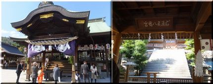 Little 姫の七五三-2014/11/3 Mon....