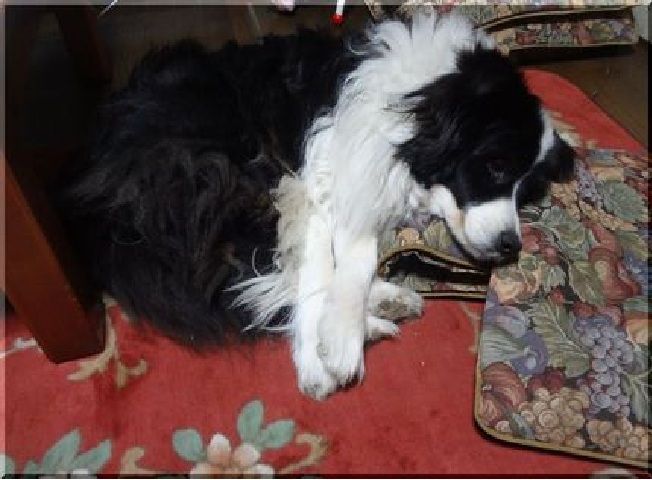 枕してまで寝てる!