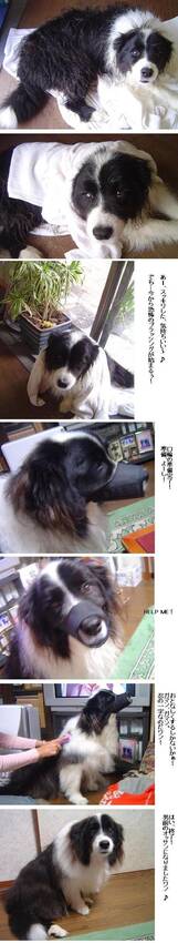 大嫌いなシャンプー下品な顔、し...