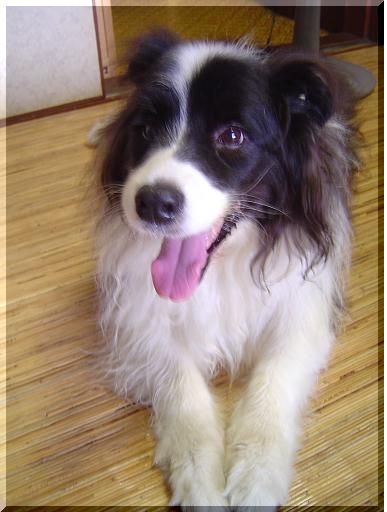 スッキリしました (^_-)-...