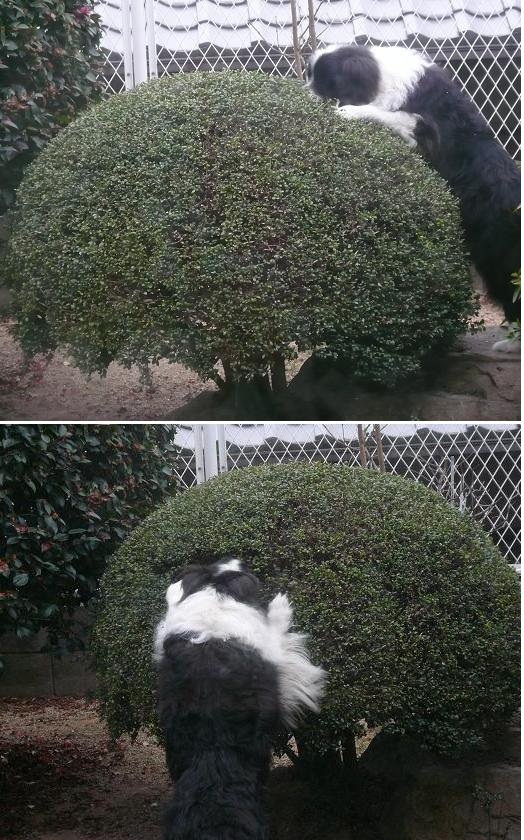 何を探してるの?