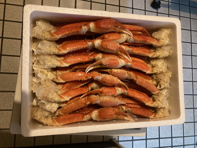 2025年 12月31日水曜日...