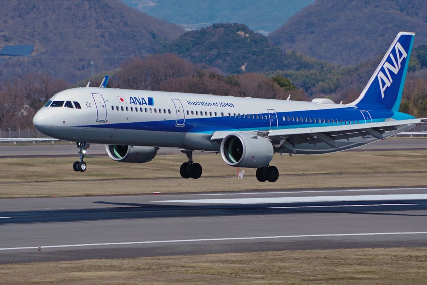 ヒバリと飛行機