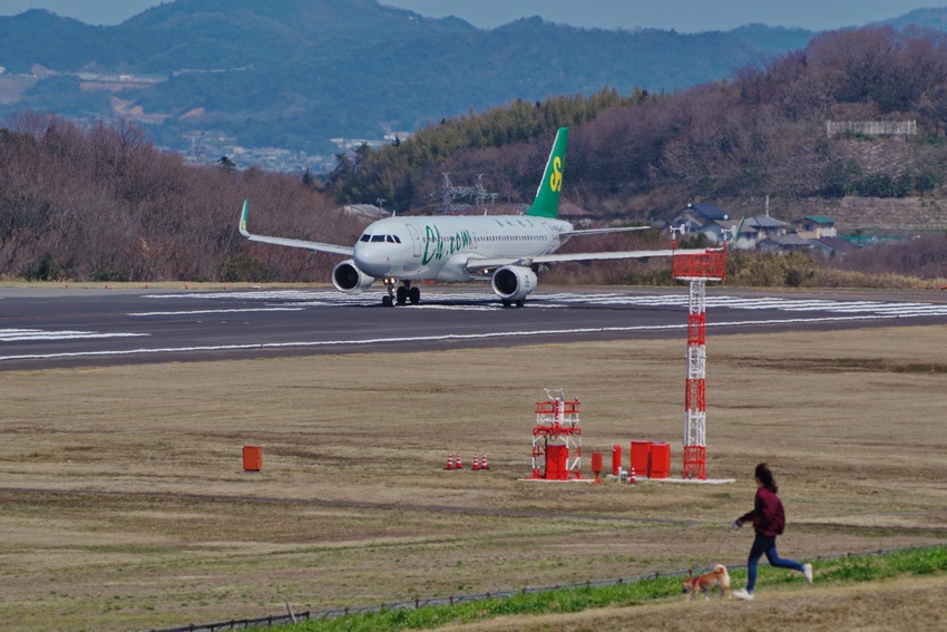 ヒバリと飛行機