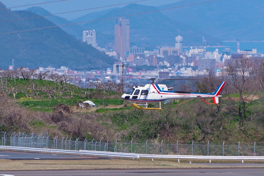 ヒバリと飛行機