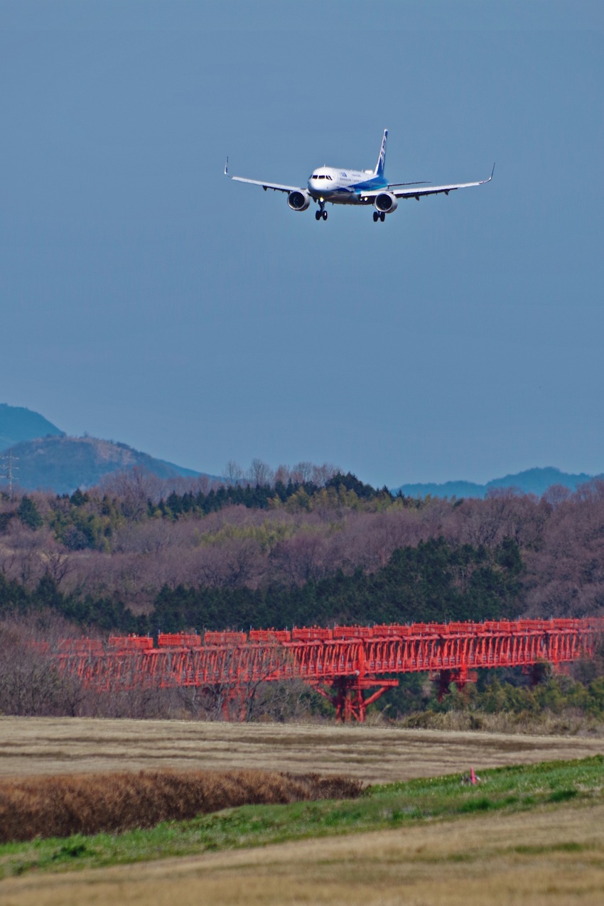 ヒバリと飛行機