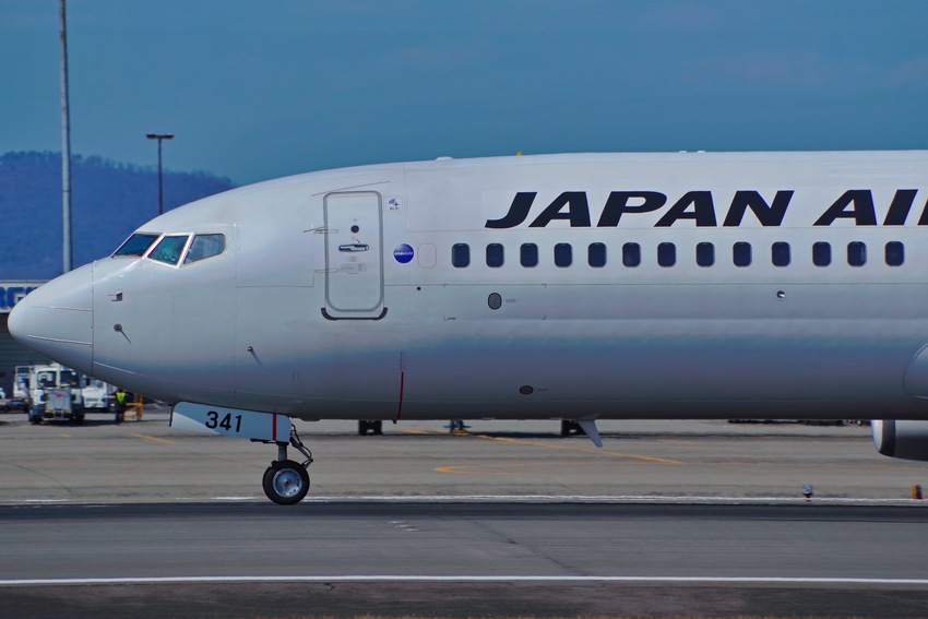 ヒバリと飛行機