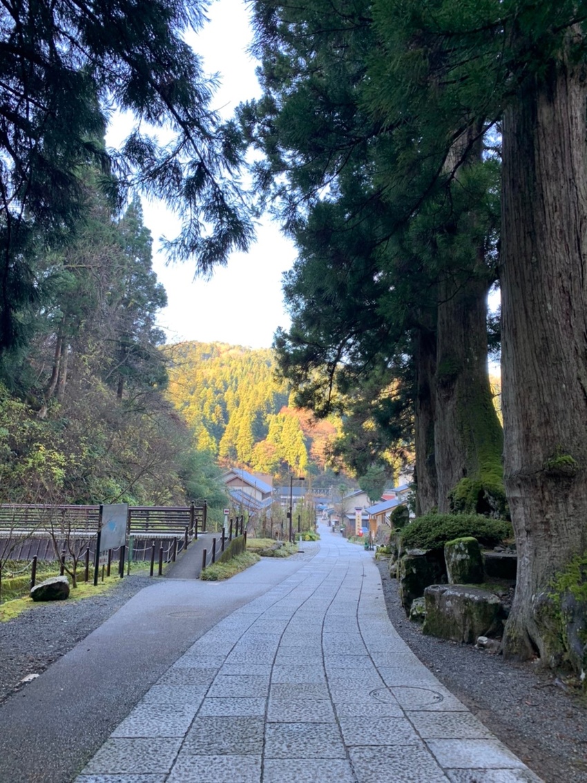 新しく整備された門前通り若い世...