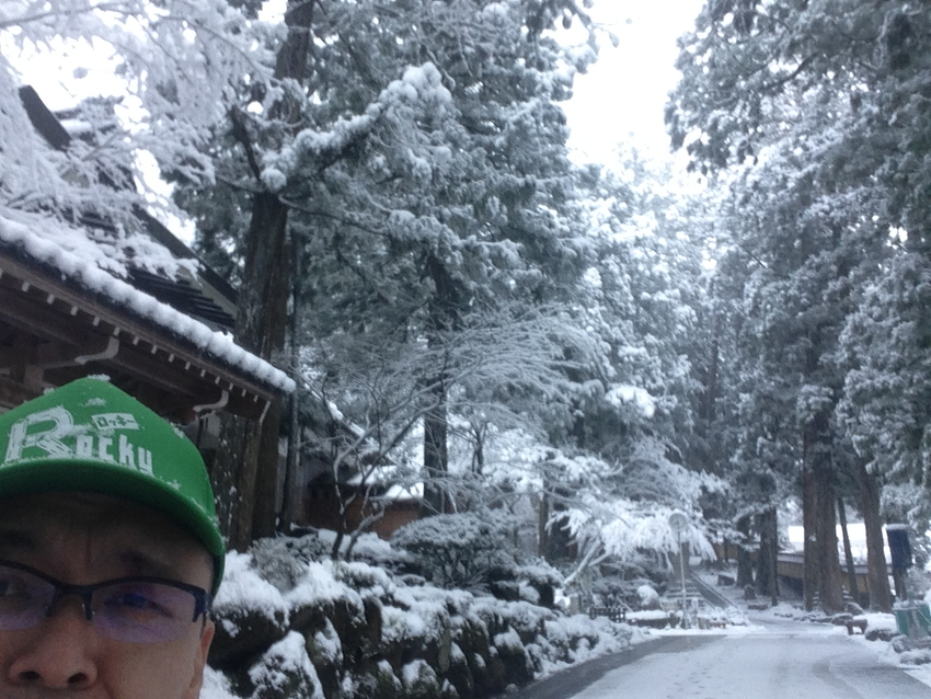 厳寒な冬がまたいいですね趣あり...