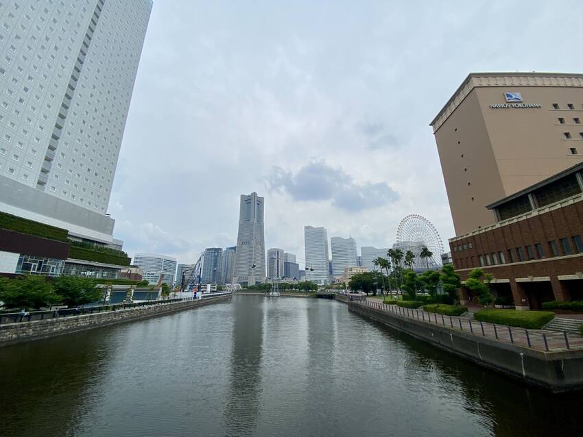 横浜、明治の頃の開花を今も偲び...