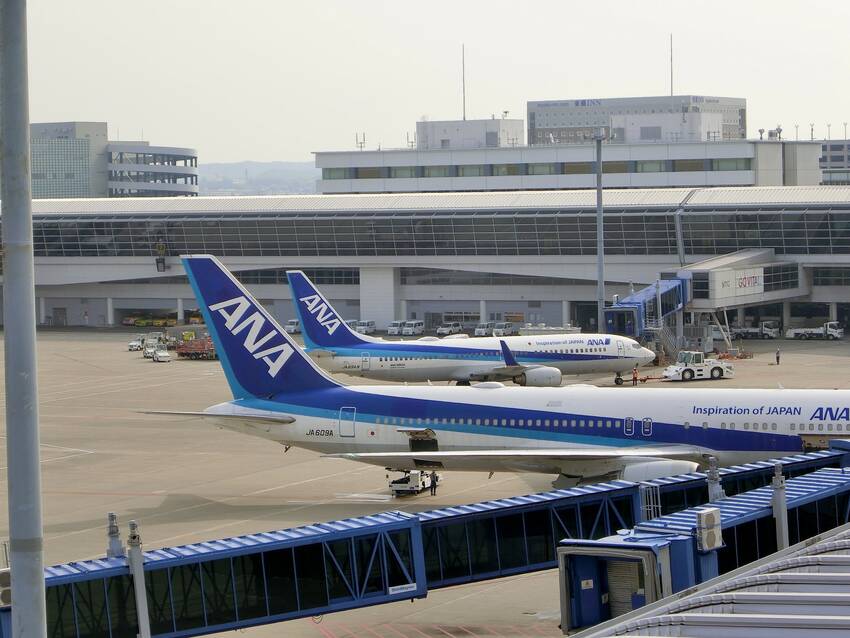ANAさんの尾翼が並ぶと安心な...