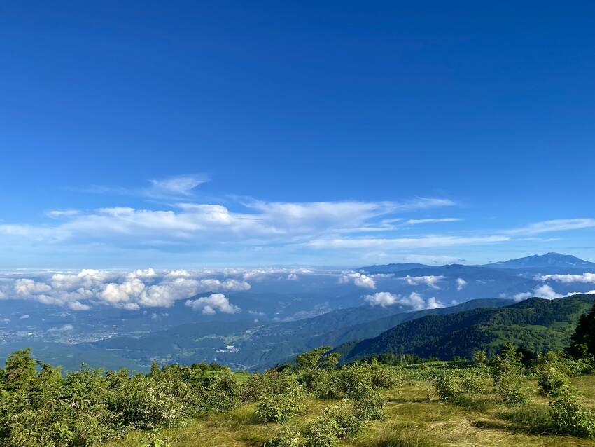 ちょっと見にくいけど、この日は...