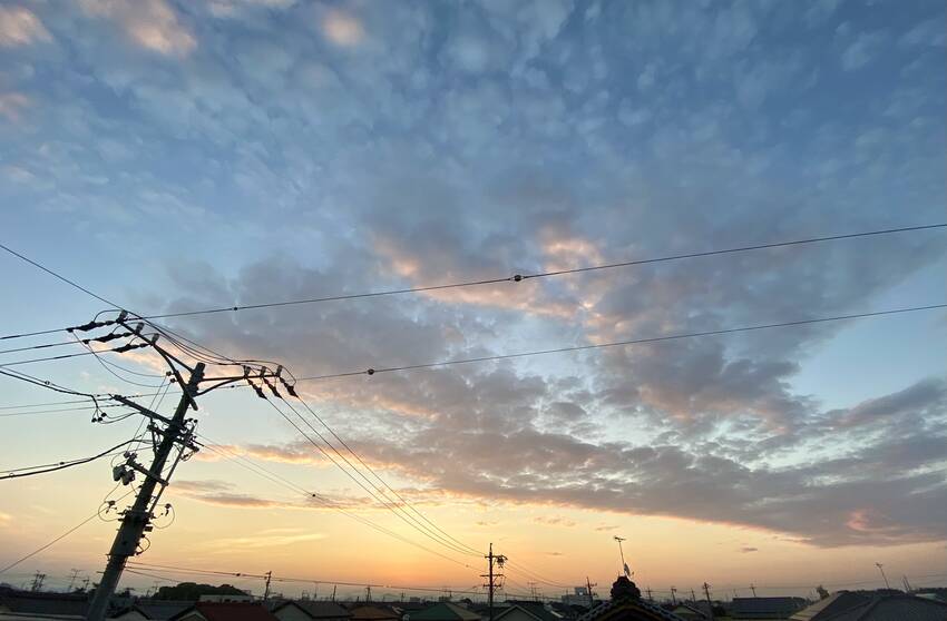 遠くが見えなくてモヤってるの夏...
