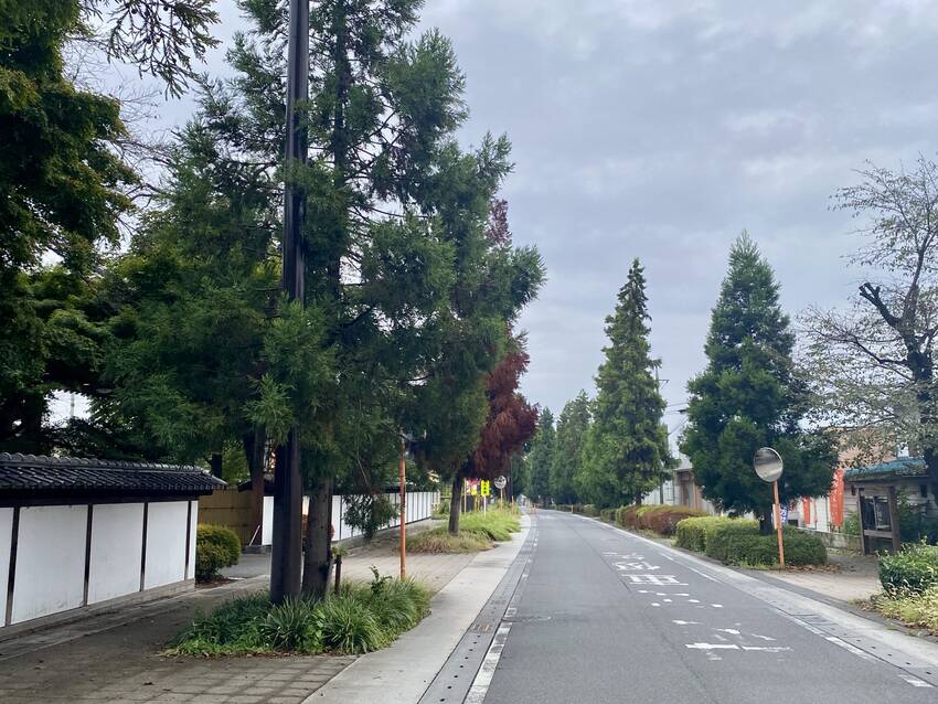 何か中山道が街中に残ってるって...