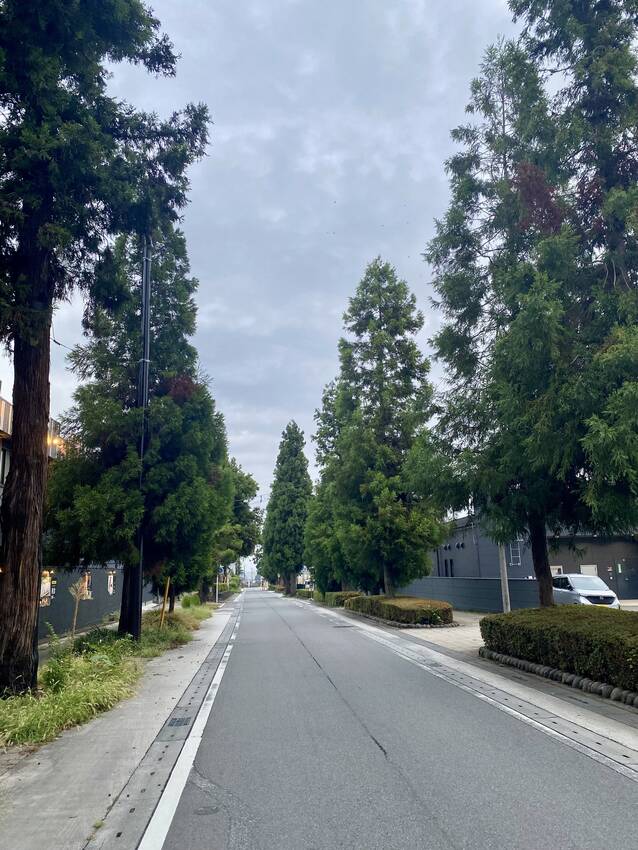 よくここまで保存されてて素晴ら...