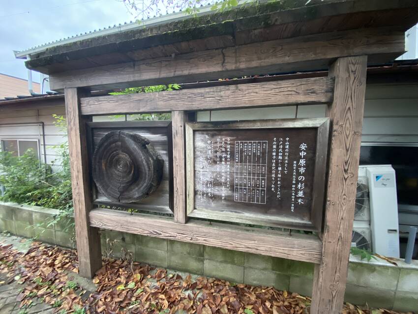 中山道は安中の杉並木…...