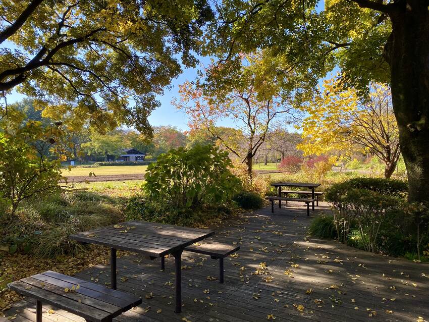 最近ベンチを見かけると嬉しい年...