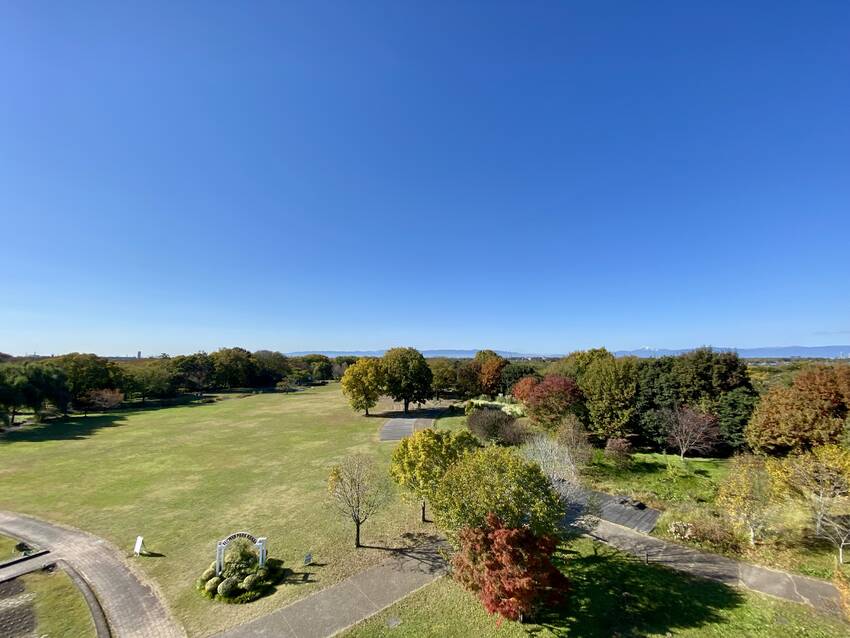 タワー展望台からの公園全景です...