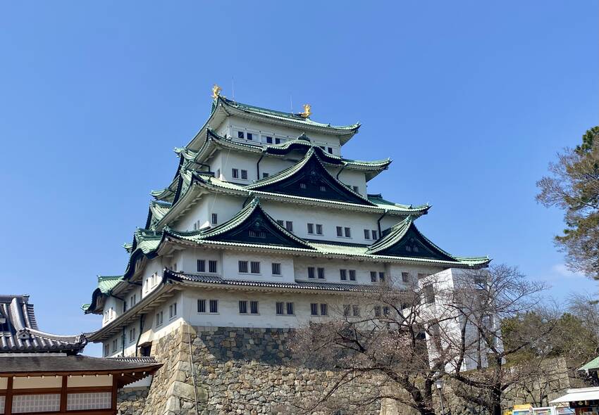 やっぱりこの角度かなあ〜テクテ...