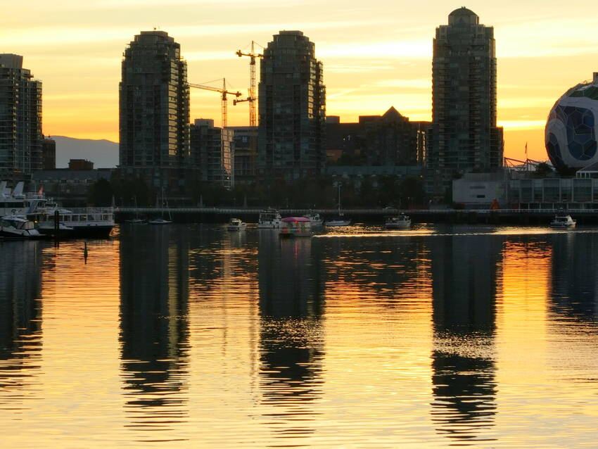 またVancouver freakしか知らない通称 ポンポン...