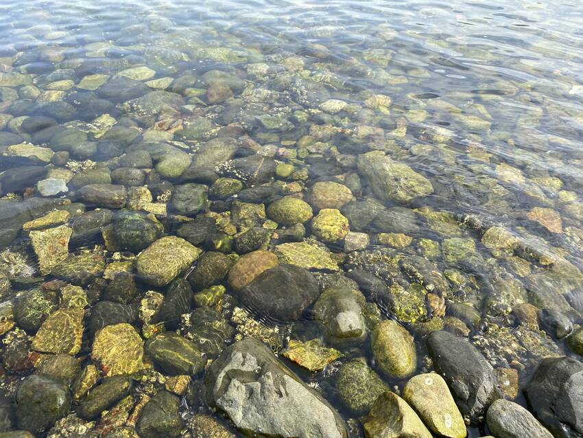 フォールスクリークの水はまだ冷...