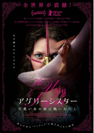 『アグリーシスター 可愛いあの娘は醜いわたし』...