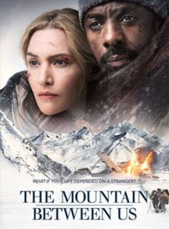 『ザ・マウンテン 決死のサバイ...