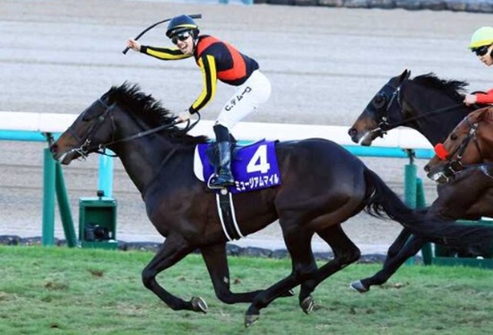 「ミュージアムマイル」勝利@第...