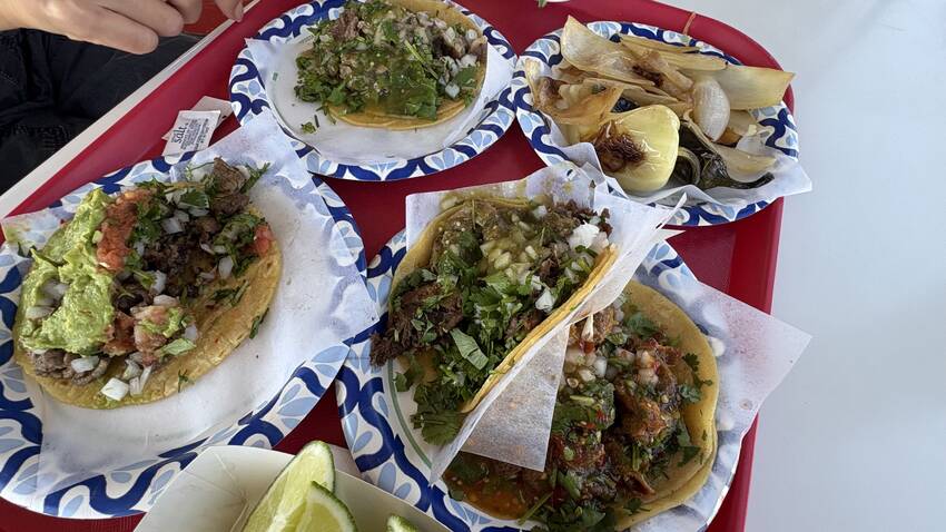 一番右:Tripa(ホルモン)...