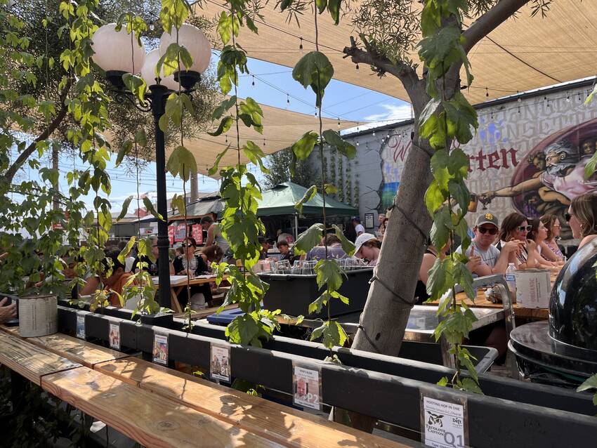 植物は全部本物で、名前や特徴も...