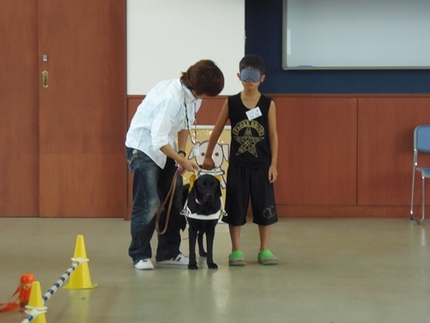 盲導犬（パーム）と歩行体験