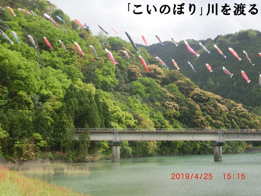 鯉幟の季節ですね。松田川の｢こ...