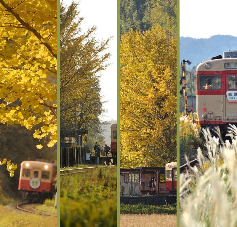 冬の気配とともに近づく日■来月...