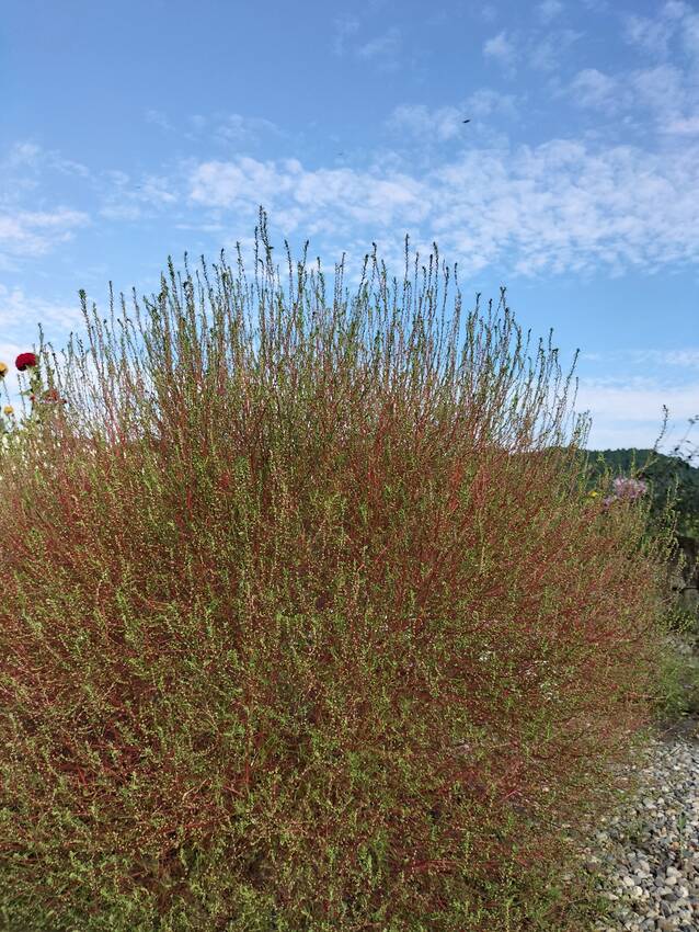 歩いていたら「農協倉庫跡」で、...