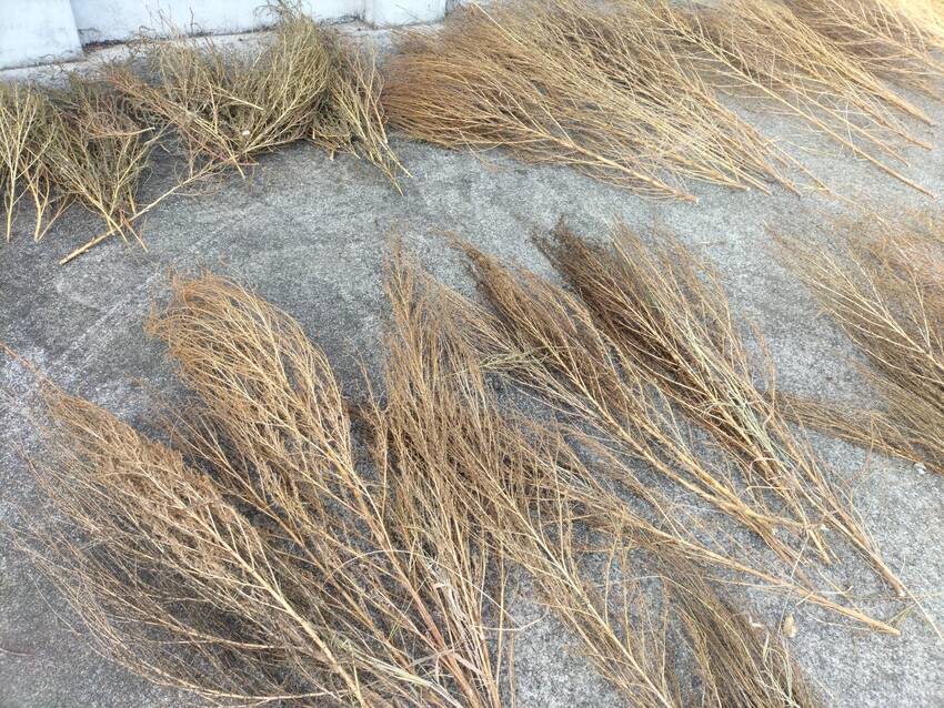 針金の巻き具合ひとつにも、持ち...