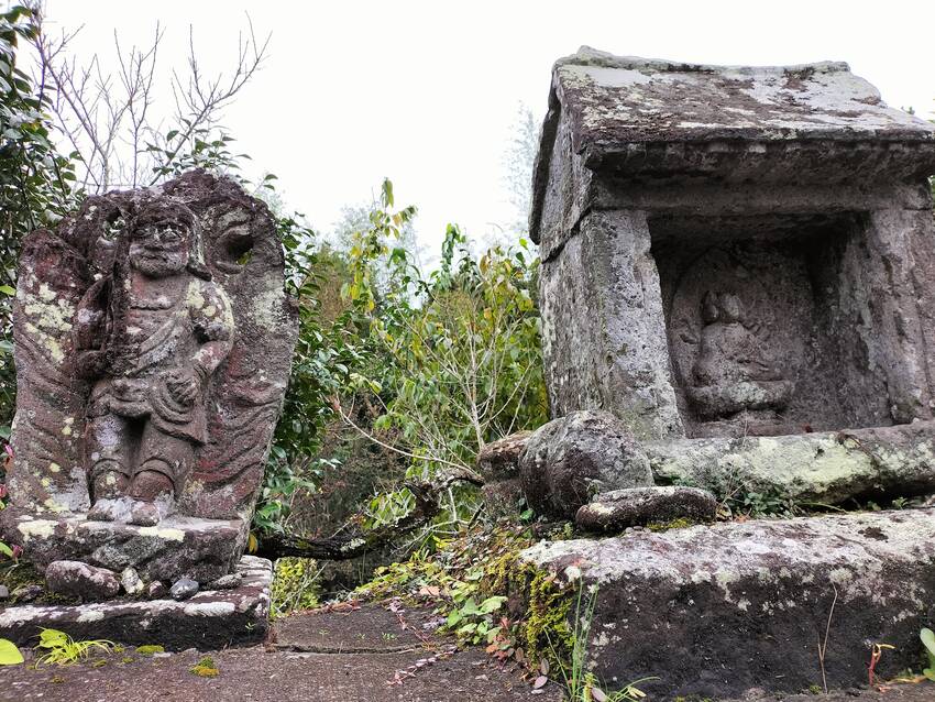 箒草を刈り取り、乾燥させ、一本...