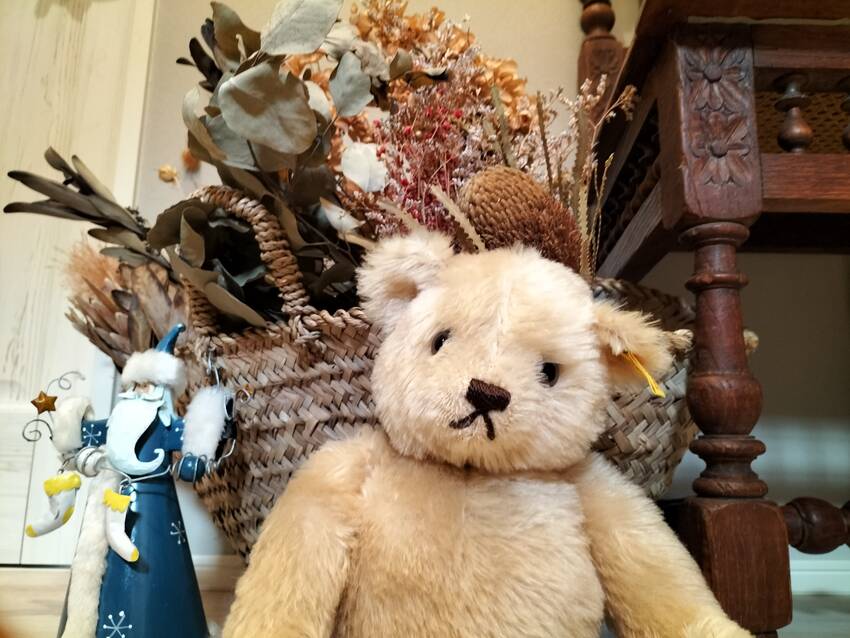 この時期「サンタさん」と「クマ...