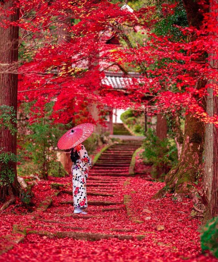 祈りは、決して特別なものではない。 願ってよい。 迷ってよい...