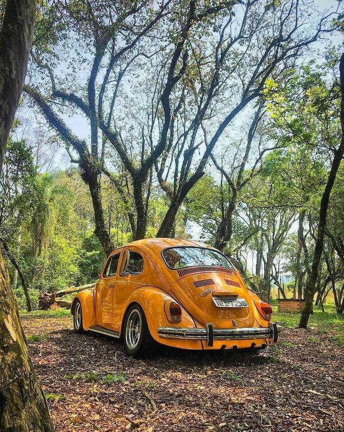 やっぱ何と言っても、この「空冷...