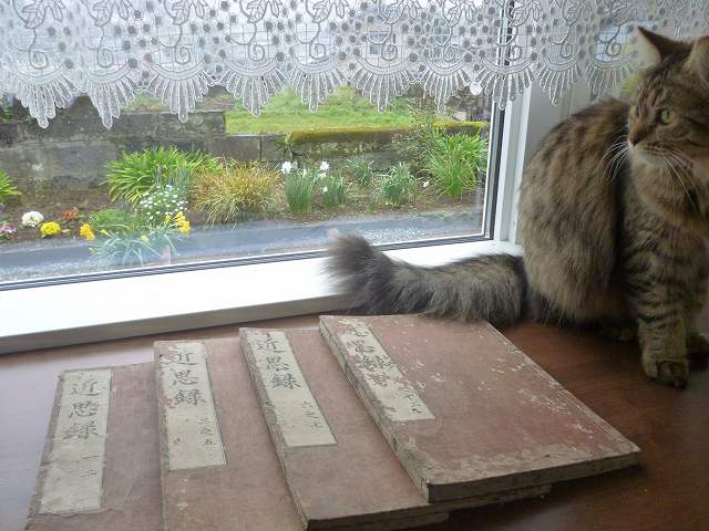 350年前のものとは考えにくい...