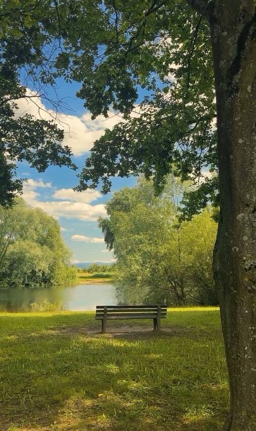 晴れの日ばかりを選びたくなる私...