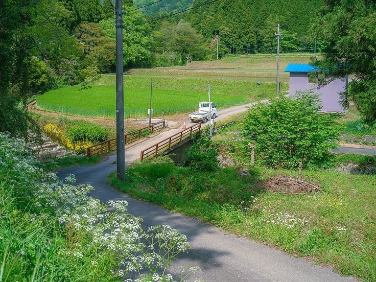 木は文句を言わない