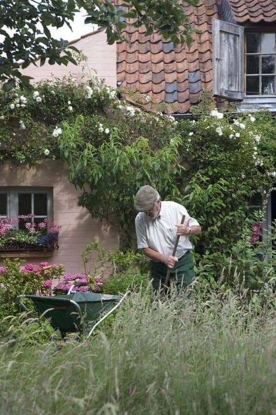 時間とともに呼吸する家に暮らす...