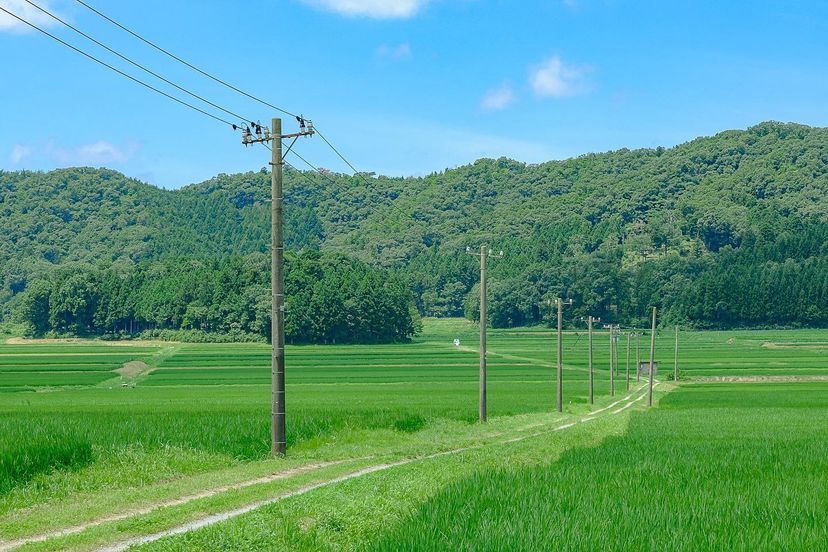 老いとは、失うことではない。 風の行き先を、静かに見届けられ...
