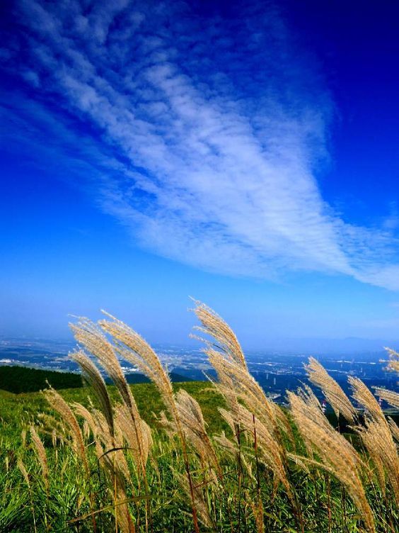 老いとは、失うことではない。風...